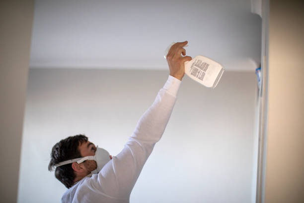Best Bathroom Mold Remediation in Balfour, NC